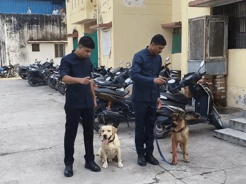 कानपुर पुलिस में शामिल हुए 2 डॉग्स:BSF से ट्रेनिंग मिली, 2 हत्याकांड का खुलासा किया; फुटप्रिंट सूंघकर 1Km दूर हत्यारोपी के घर पहुंचा था