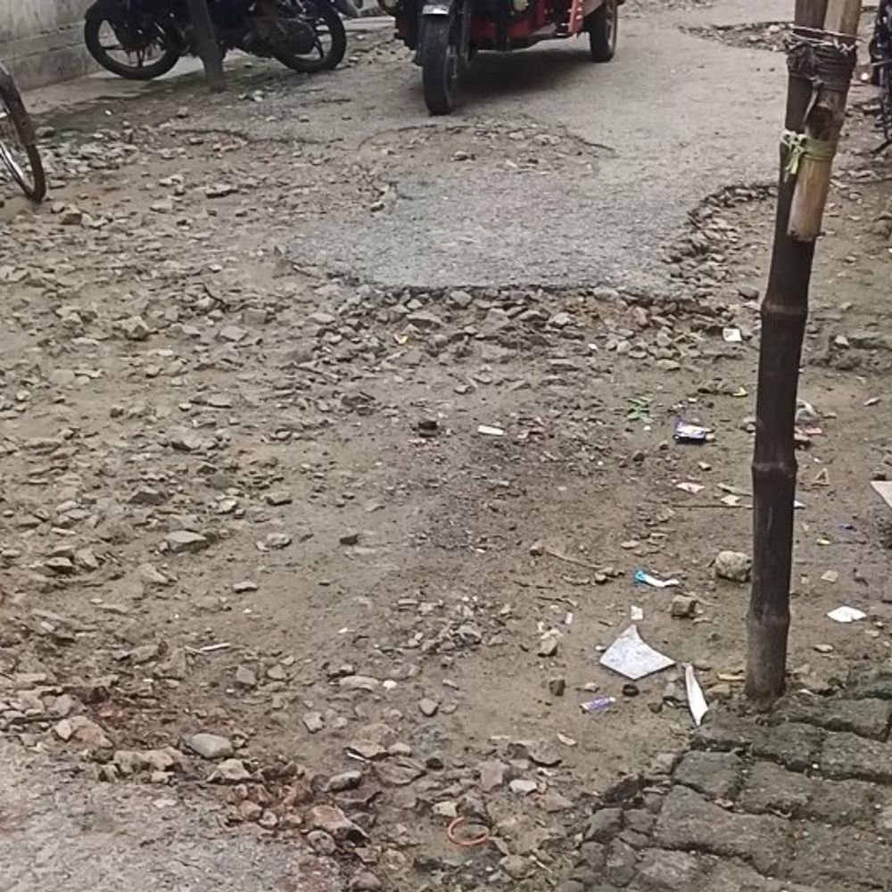 दलित बस्ती पोखरा आवास की सड़क गड्ढों में तब्दील:विभागीय अनदेखी से लोग परेशान, मरम्मत की मांग