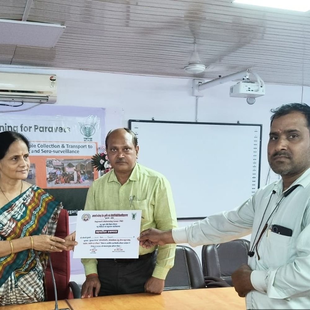 विश्वविद्यालय खुरपका-मुंहपका रोग से बचाव के लिए 45 पैरावेट प्रशिक्षित:सीरम नमूना संग्रह और सुरक्षित परिवहन की दी गई जानकारी, पशुओं में रोग की निगरानी पर जोर