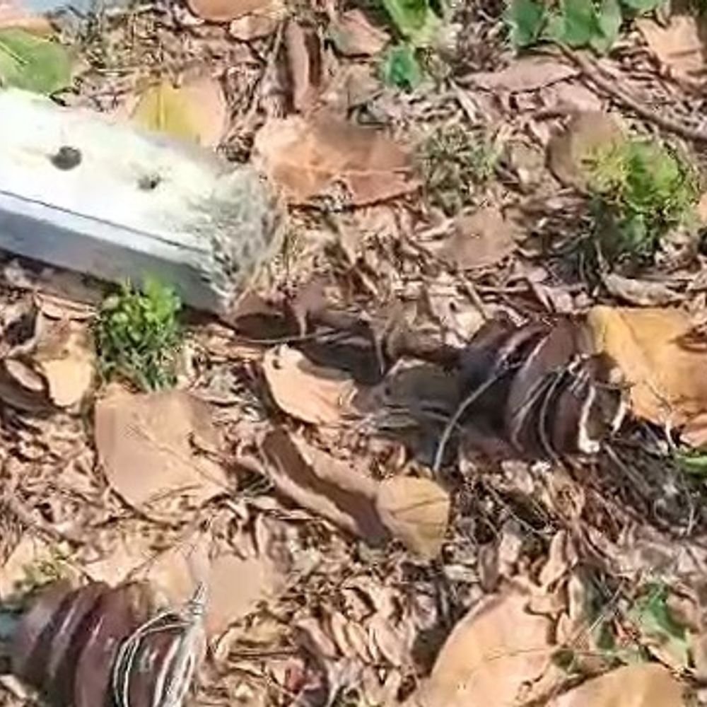 फर्रुखाबाद में 2700 मीटर HT लाइन के तार चोरी:हरसिंहपुर फीडर के 15 गांवों की बिजली ठप, सवा लाख का हुआ नुकसान