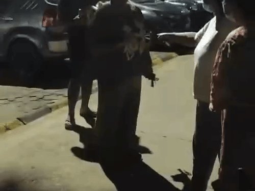 गाजियाबाद में बच्ची को डॉग ने पंजा मारा, बखेड़ा:इंदिरापुरम की शिप्रा कृष्णा विस्टा सोसाइटी में भाजपा नेत्री ने की गाली गलौज