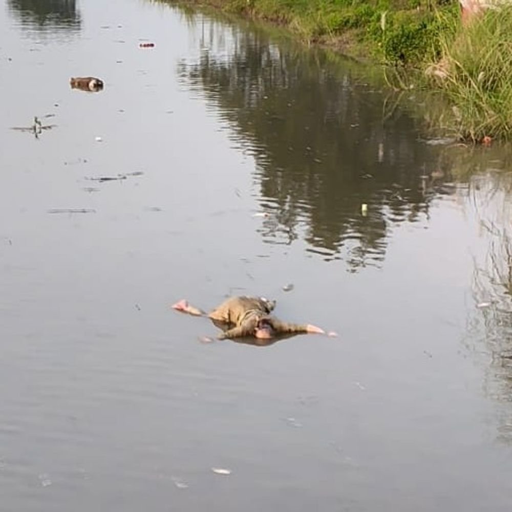 प्रतापगढ़ में शारदा नहर से मिला महिला का संदिग्ध शव:सूचना के बाद भी देरी से पहुंची पुलिस, सलवार-सूट में मिली बॉडी