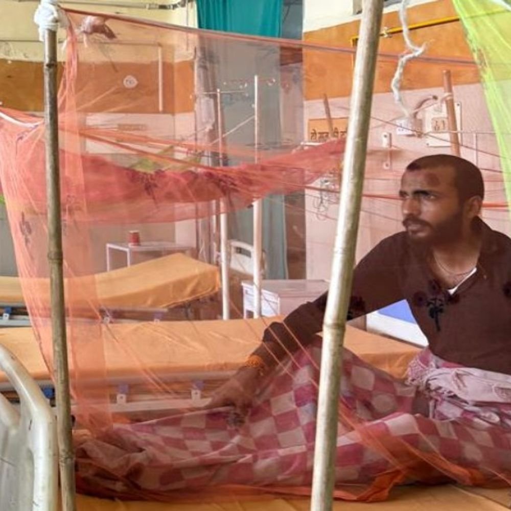 लखनऊ में अब तक डेंगू के 403 केस रिपोर्ट:सितंबर में सबसे ज्यादा केस, बच्चे भी तेजी हो रहे संक्रमित