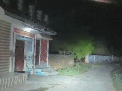 अमरोहा में आबादी के बीच घूमता दिखा तेंदुआ, VIDEO:ग्रामीणों ने वीडियो बनाया, DFO बोले- पिंजरा लगाएंगे और लोग सतर्क रहें