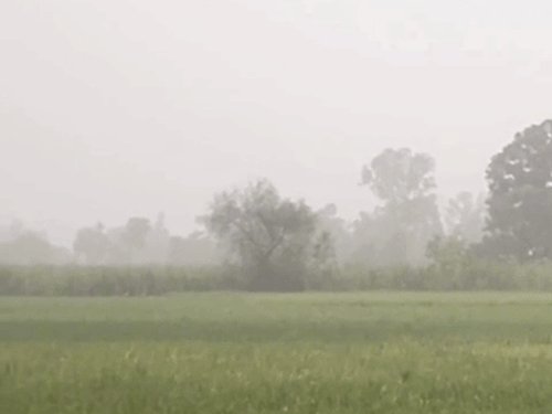 बस्ती में छाया कोहरा, तापमान 10 डिग्री गिरा:सुबह घरों से निकलने वालों को महसूस होने लगी ठंड