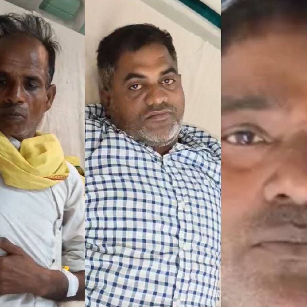 धान के खेतों में सांपों ने तीन किसानों को डसा:अलग-अलग घटनाओं में हालत बिगड़ने पर जिला अस्पताल में भर्ती कराया गया