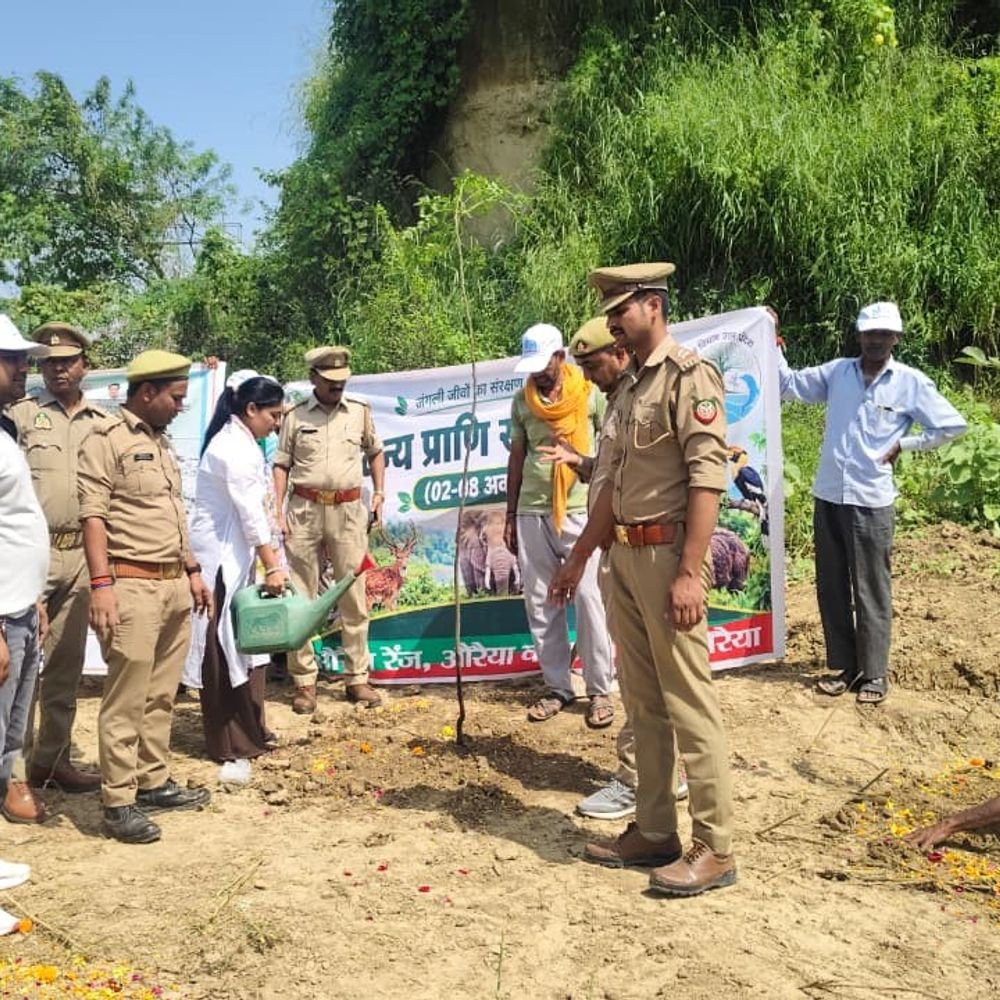 औरैया में वन्य प्राणी सप्ताह मनाया गया:वन विभाग और जिला गंगा समिति ने मिलकर स्वच्छता अभियान चलाया