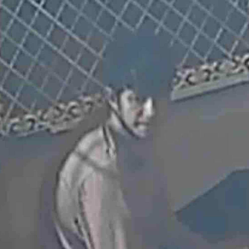 गाजियाबाद के मंदिर से युवक ने स्पीकर-एम्पलीफायर चुराए:सीसीटीवी में कैद हुई वारदात, सोसायटी के लोगों ने आरोपी को पकड़ा और सामान वापस लिया