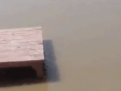 उत्तराखंड की बारिश से गंगा उफनी, गोकना घाट डूबा:सीढ़ियां और शवदाह गृह डूबे, प्रशासन ने कटरी क्षेत्र में बढ़ाई निगरानी