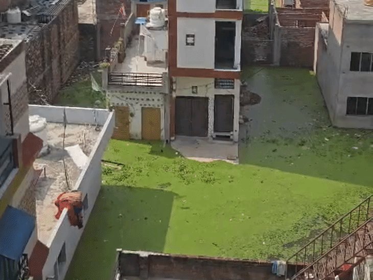 फैजुल्लागंज में गोमती का जलस्तर बढ़ा, लोग पलायन को मजबूर:15 दिन से जलभराव, बेडरूम में घुसा पानी; कॉलोनी में चल रही नावें