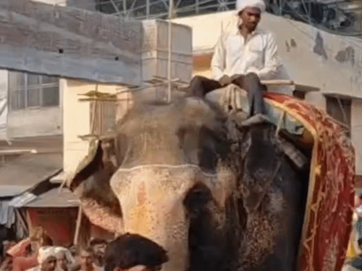 हाथी परमा-मोहन के साथ निकली महिला की शवयात्रा:15 किमी लंबी यात्रा में 12 गांवों के लोग आए; 100 से ज्यादा गाड़ियां चलीं