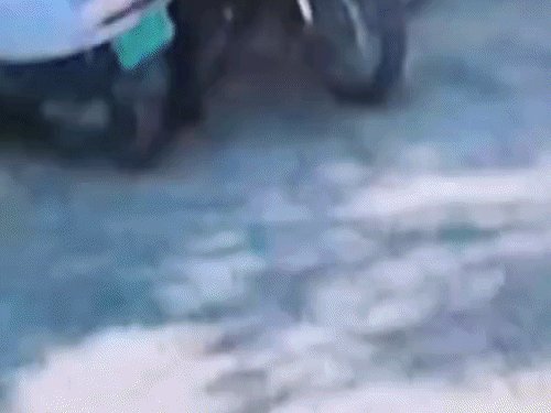 ललितपुर में स्कूटी की डिग्गी से 50 हजार रुपये चोरी:टोपी पहने युवक CCTV में कैद, कैश लेकर फरार
