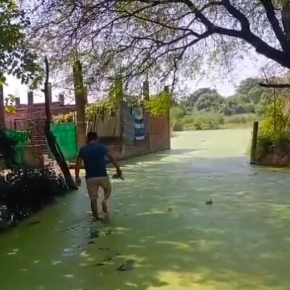 वार्ड 8 में जलभराव से लोग परेशान:शिकायत के बाद भी समस्या का हल नहीं, अधिकारी बोले- बजट नहीं है