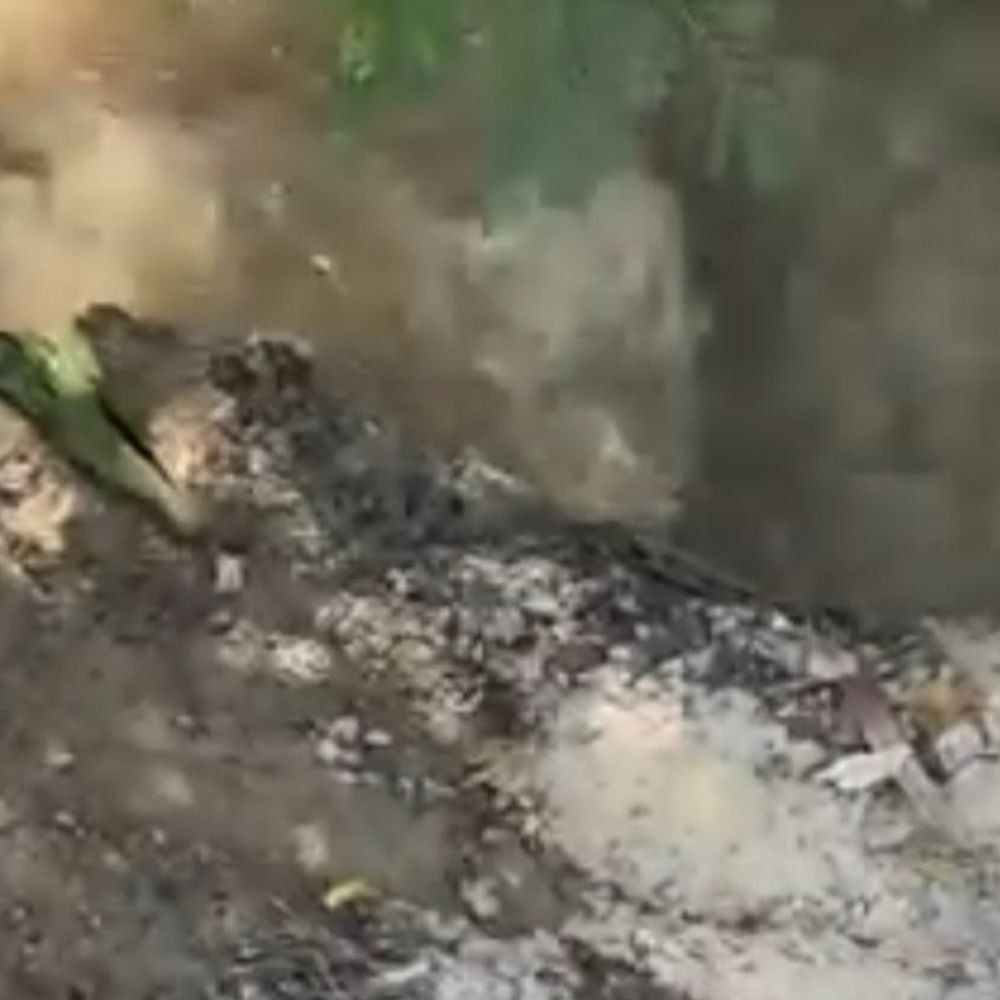 डालीगंज में पानी का रिसाव, एलडीए ने दी सफाई:एलडीए की टीम ने मौके का निरीक्षण किया, बताया- मुख्य स्ट्रक्चर को कोई नुकसान नहीं, सुरक्षा के लिए स्टोन पिचिंग शुरू