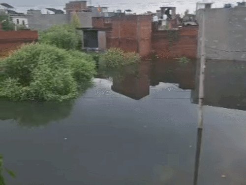 गंगा का जलस्तर 24 घंटे में 24 सेंटीमीटर घटा:उन्नाव में चेतावनी बिंदु से अब भी 3 सेमी ऊपर, तटीय इलाकों में परेशानी बरकरार