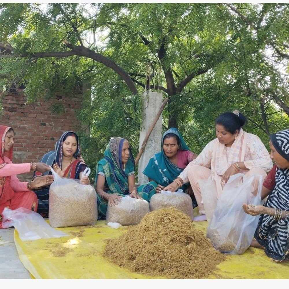 महिलाओं को मशरूम उत्पादन का प्रशिक्षण:मास्टर ट्रेनर ने बताए फायदे, जैविक खेती पर दिया जोर
