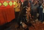 प्रयागराज के सिविल लाइंस में दशहरे की धूम:रामदल और चौकियों को देखने उमड़ी भीड़...VIDEO