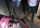 सोनभद्र के अजिर नदी में डूबने से युवक की मौत:छत्तीसगढ़ का रहने वाला था, मिर्गी का दौरा पड़ने से डूबने की आशंका
