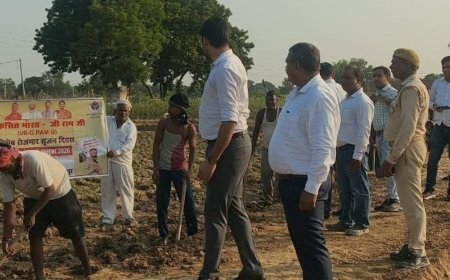 सरैया में मनाया रोजगार दिवस:सेवा संकल्प अभियान के तहत मजदूरों को चकमार्ग पर मिला काम