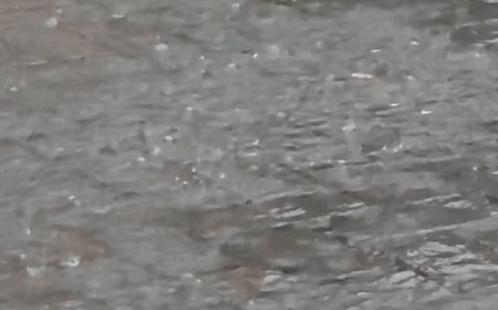 मुजफ्फरनगर में दिन निकलते ही मूसलाधार बारिश:दिन में छाया अंधेरा, जनजीवन पूरी तरह से प्रभावित