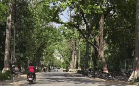 वाराणसी में सुबह मौसम साफ, लेकिन हवा में घुला प्रदूषण:छह इलाकों में बिगड़ी हवा की गुणवत्ता,24 घंटे में 2 डिग्री गिरा पारा
