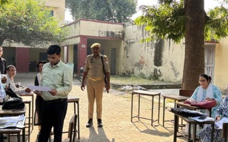 मतदाता सूची पुनरीक्षण अभियान:एसडीएम अंगद यादव ने कई बूथों का निरीक्षण कर कार्यों की प्रगति जानी