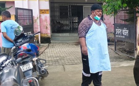 हरदोई में पेड़ से लटका मिला बुजुर्ग का शव:सुबह घर से निकले, गांव के बाहर मिली लाश; जांच जारी