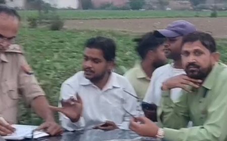 खेत की तारबाड़ में करंट, 7 बंदरों की मौत:हाथरस में वन विभाग की शिकायत पर 3 पर केस दर्ज