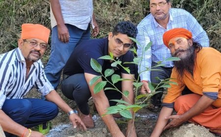 बेवरी में पौधरोपण कार्यक्रम:रामजानकी मंदिर परिसर में लगाए फलदार पौधे