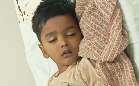 कानपुर देहात में सांप के काटने से मासूम की मौत:माता-पिता के साथ बिस्तर पर सो रहा था बच्चा, झाड़-फूंक के बाद अस्पताल ले गए परिजन
