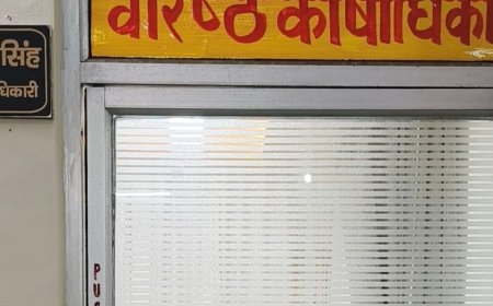 हमीरपुर के पेंशनर घर से बना सकेंगे डिजिटल जीवन प्रमाण-पत्र:स्मार्टफोन से ऑनलाइन जमा प्रमाण-पत्र, कोषागार या बैंक जाने की जरूरत नहीं