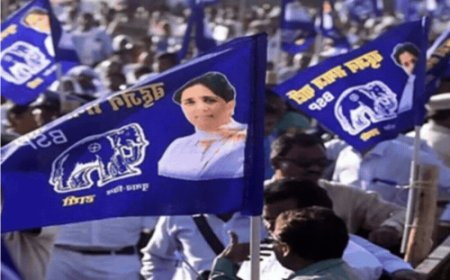 एत्मादपुर से सर्वेश बघेल पर दांव लगा सकती है बसपा:22 नवंबर को आकाश आनंद करेंगे जनसभा, बूथ कमेटियों को सक्रिय किया