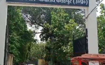 दादा की हत्या के मामले में दो पोतों को उम्रकैद:रेडियो बंद करने को लेकर हुआ था विवाद, लाठी-डंडों से पीटा था