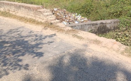 महराजगंज-बांसपर मार्ग पर अंधे मोड़ के पुल की रेलिंग टूटी:हादसे का डर बढ़ा, ग्रामीणों ने जल्द मरम्मत की मांग की