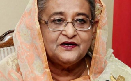 भारतीय हाई कमिश्नर बोले- हसीना को पनाह देना मजबूरी थी:उन्हें बांग्लादेश भेजने की प्रकिया जारी; तख्तापलट के बाद 2 साल से भारत में पूर्व PM