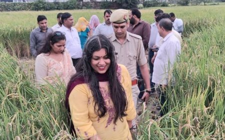 जिलाधिकारी ने धान की क्रॉप कटिंग का निरीक्षण किया:गिरधरपुर में किसानों से संवाद कर फसल उत्पादन का परीक्षण कराया
