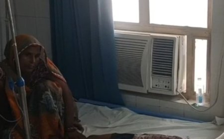 बहराइच में 8 साल की बच्ची को कुत्ते ने काटा:घर के बाहर खेल रही थी मासूम, एक दिन पहले भी दो बच्चों पर किया था हमला