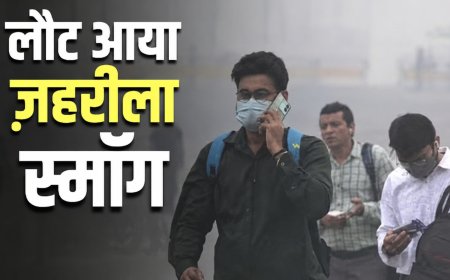 हर साल अक्टूबर-नवंबर में ही दिल्ली की हवा जहरीली क्यों हो जाती है? जानिए स्थायी समाधान