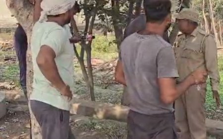 बिना अनुमति के दर्जनों हरे पेड़ काटे गए:बुलंदशहर में वन विभाग ने 6 लोगों को हिरासत में लिया, 2 कटर भी बरामद