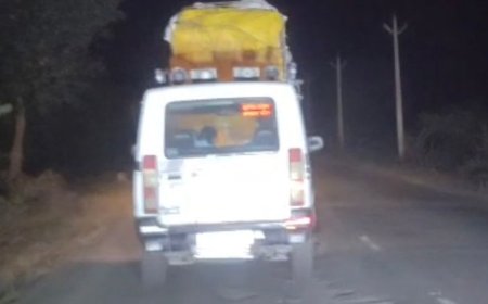 GST विभाग ने लाखों का सामान पकड़ा:चेकिंग के दौरान छतरपुर से आ रही पिकअप से मिला इलेक्ट्रॉनिक्स और बर्तन