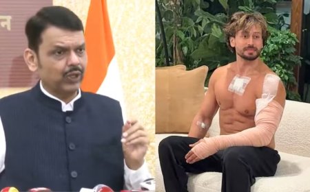 टाइगर श्रॉफ पर गोलीबारी, फडणवीस ने दिया सख्त कार्रवाई का भरोसा