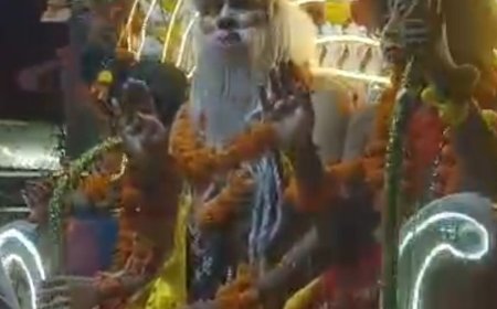 मुरादाबाद में महर्षि वाल्मीकि प्रकटोत्सव पर निकली भव्य शोभायात्रा:विधायक रितेश गुप्ता ने किया शुभारंभ, झांकियां बनीं आकर्षण का केंद्र