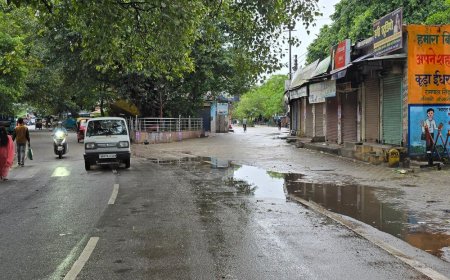 बिजनौर में रातभर हुई बारिश से बढ़ी ठंड:धान और गन्ने की फसल को नुकसान की आशंका, कई इलाकों में बिजली गुल