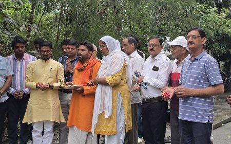 गजरौला में बिजली सुरक्षा के लिए नई पहल:एमडीए कॉलोनी में एबीसी केबल लगाने का काम शुरू, क्षेत्रीय विधायक ने किया शुभारंभ