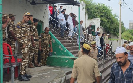 संभल शाही जामा मस्जिद में जुमे की नमाज:800 से 900 नमाजी पहुंचे, तीन रास्तों पर बैरिकेडिंग