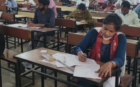 डीएलएड बैक पेपर परीक्षा 103 केंद्रों पर हुई:प्रथम पाली में 83.58 प्रतिशत और दूसरी पाली में 81.50 प्रतिशत अभ्यर्थी शामिल