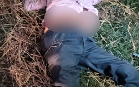 हरदोई में ट्रैक्टर-ट्रॉली ने बाइक सवार वृद्ध को कुचला, मौत:शाहाबाद-पाली मार्ग पर मुरीदापुर के पास हादसा; टक्कर के बाद खंती में चली गई ट्रैक्टर-ट्रॉली