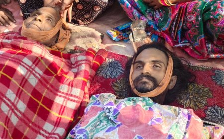 बाराबंकी में सांप के डसने से पिता-पुत्र की मौत:पूजा पंडाल में सांप के दांत तोड़ने की कोशिश के दौरान हादसा, 1 की गई रोशनी