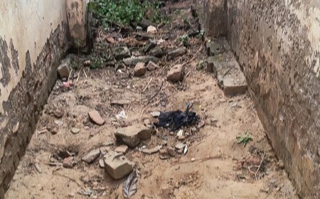 सरकारी स्कूल में 5 साल की बच्ची से रेप:अलीगढ़ में टॉफी का लालच देकर युवक ले गया, पुलिस आरोपी की तलाश में
