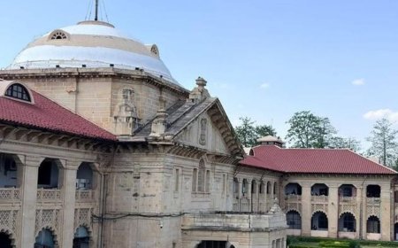हाईकोर्ट बोला-लिव-इन रिलेशनशिप वाले जोड़े को सुरक्षा दें:संयुक्त शपथपत्र देने का निर्देश, युवतियों ने कहा- जीवन में दखल न दे